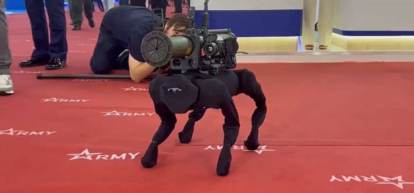 "Incomunicável" após invasão em Brasília, advogado diz que Pamela Bório pode estar em outro país com o filho