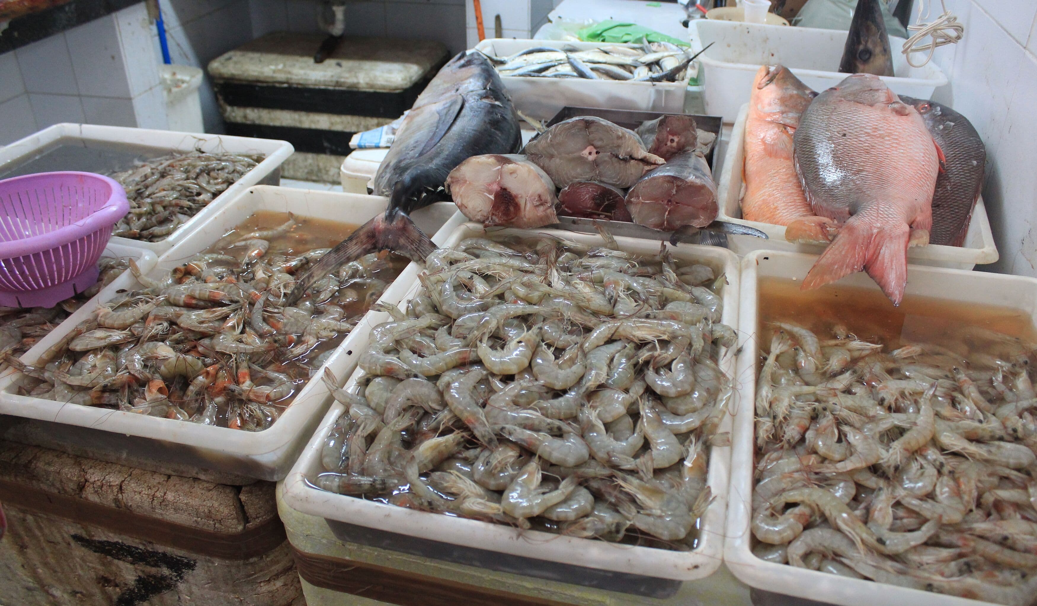 Quilo do peixe pode custar até R$ 110 em João Pessoa; confira pesquisa completa de preços