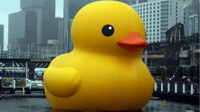 Artista holandês acusa Fiesp de plagiar pato amarelo