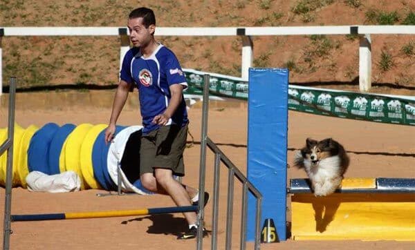 João Pessoa sedia III Copa PB Agility no Parque de Exposição