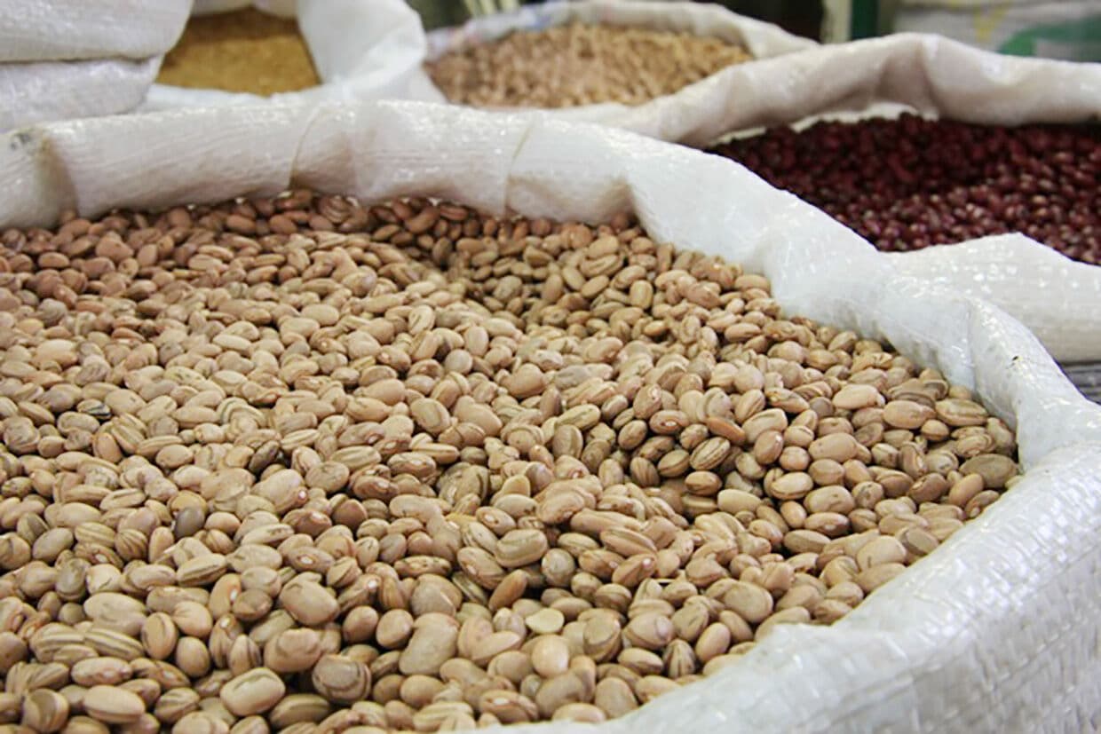 Brasil precisa diversificar consumo de feijão, diz Ibrafe