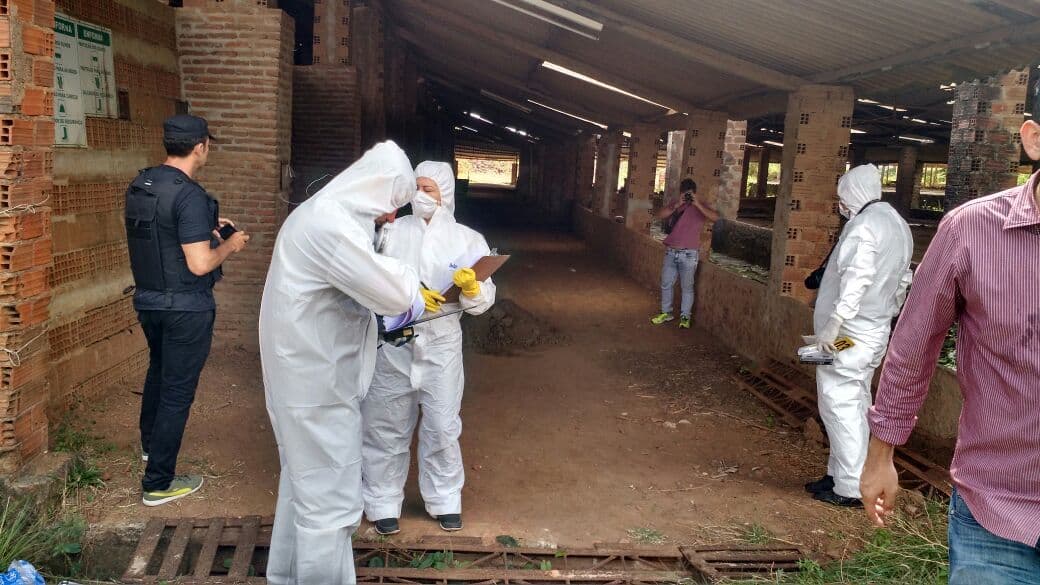 Operação 'estoura' olaria em Santa Rita estocando lixo hospitalar irregularmente