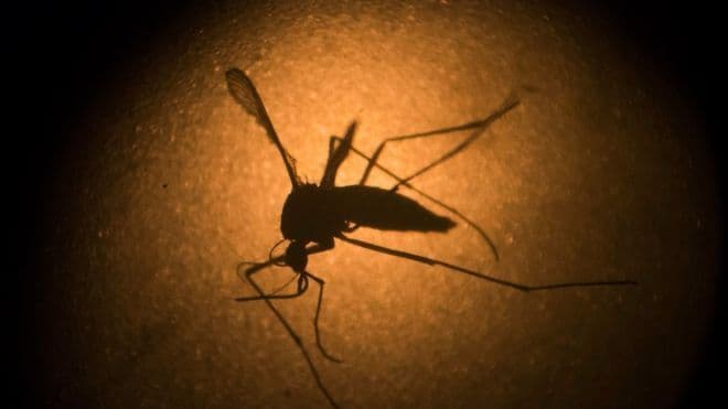 Casos suspeitos de dengue sobem mais de 80% na Paraíba