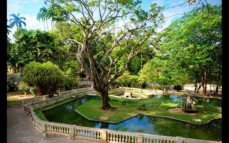 Parque Arruda Câmara vai funcionar durante o feriado da Proclamação
