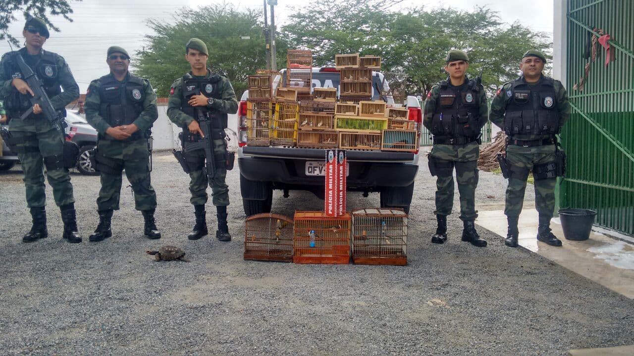 Polícia prende nove pessoas e apreende 106 animais silvestres na Feira da Prata