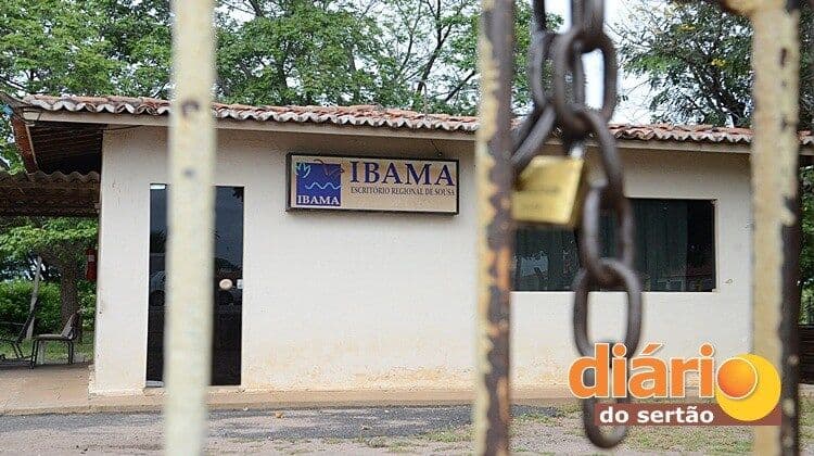 Servidores do Ibama entram em greve para pressionar governo por reajuste salarial