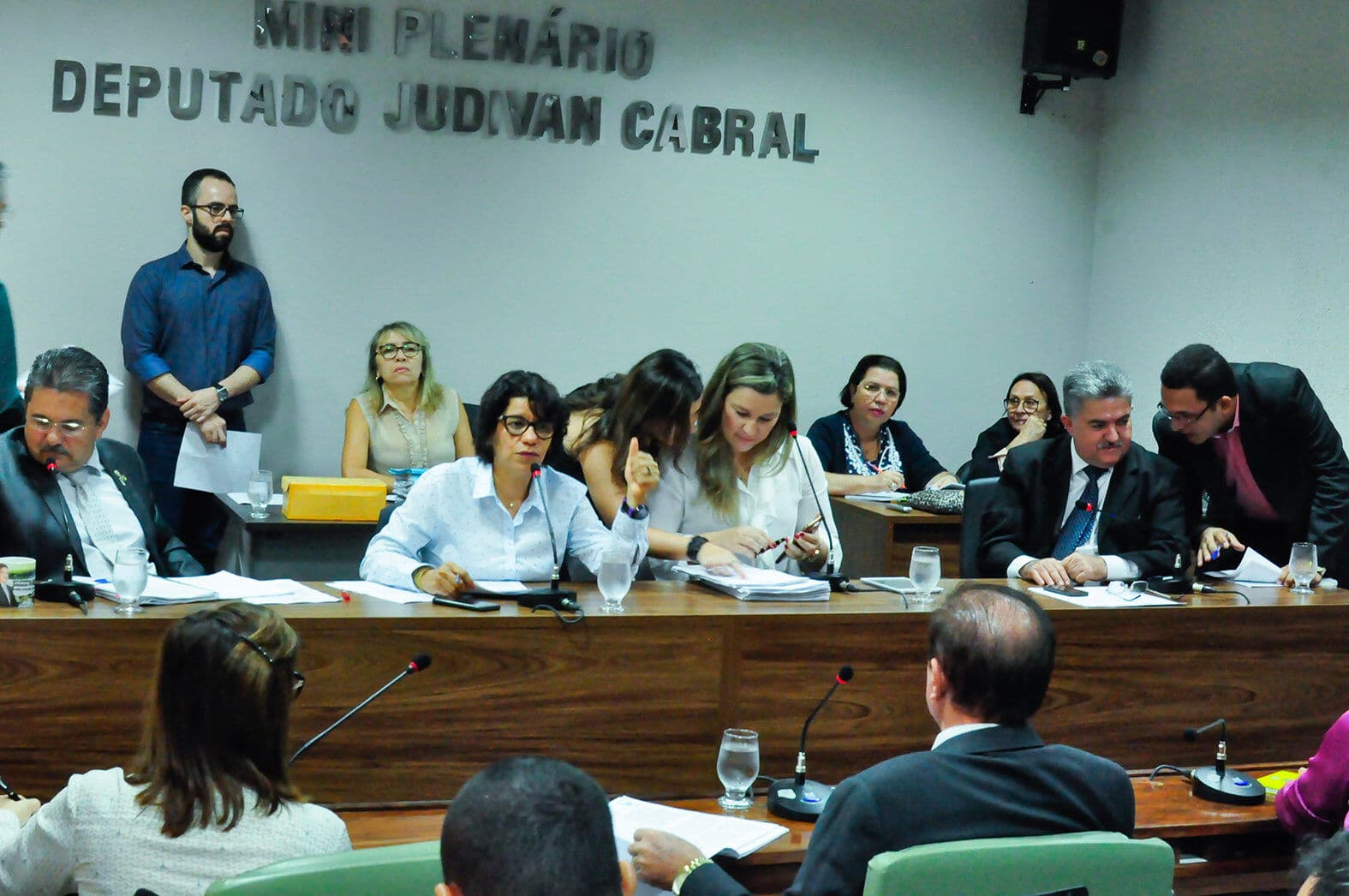 CCJ da AL aprova projeto que amplia para 240 dias licença maternidade