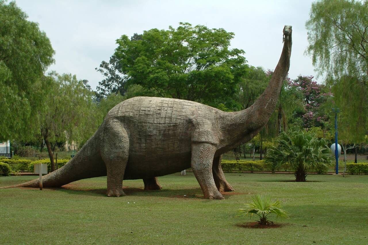 Osso de dinossauro é achado durante obra por morador no interior de SP
