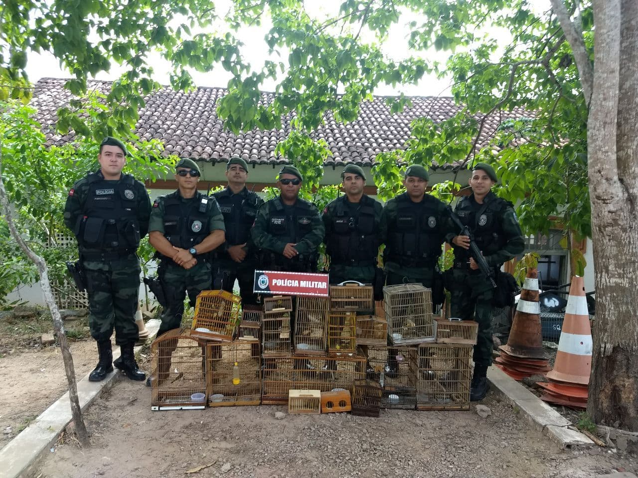 Polícia resgata 31 aves silvestres e detém suspeito em Santa Rita