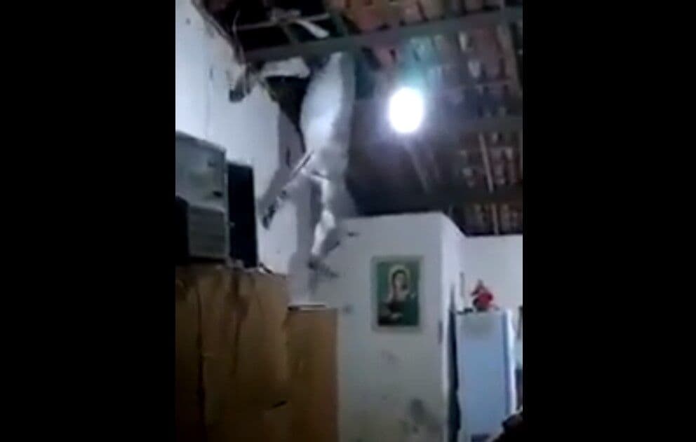 Jumento fica preso em telhado de residência no Sertão do Estado