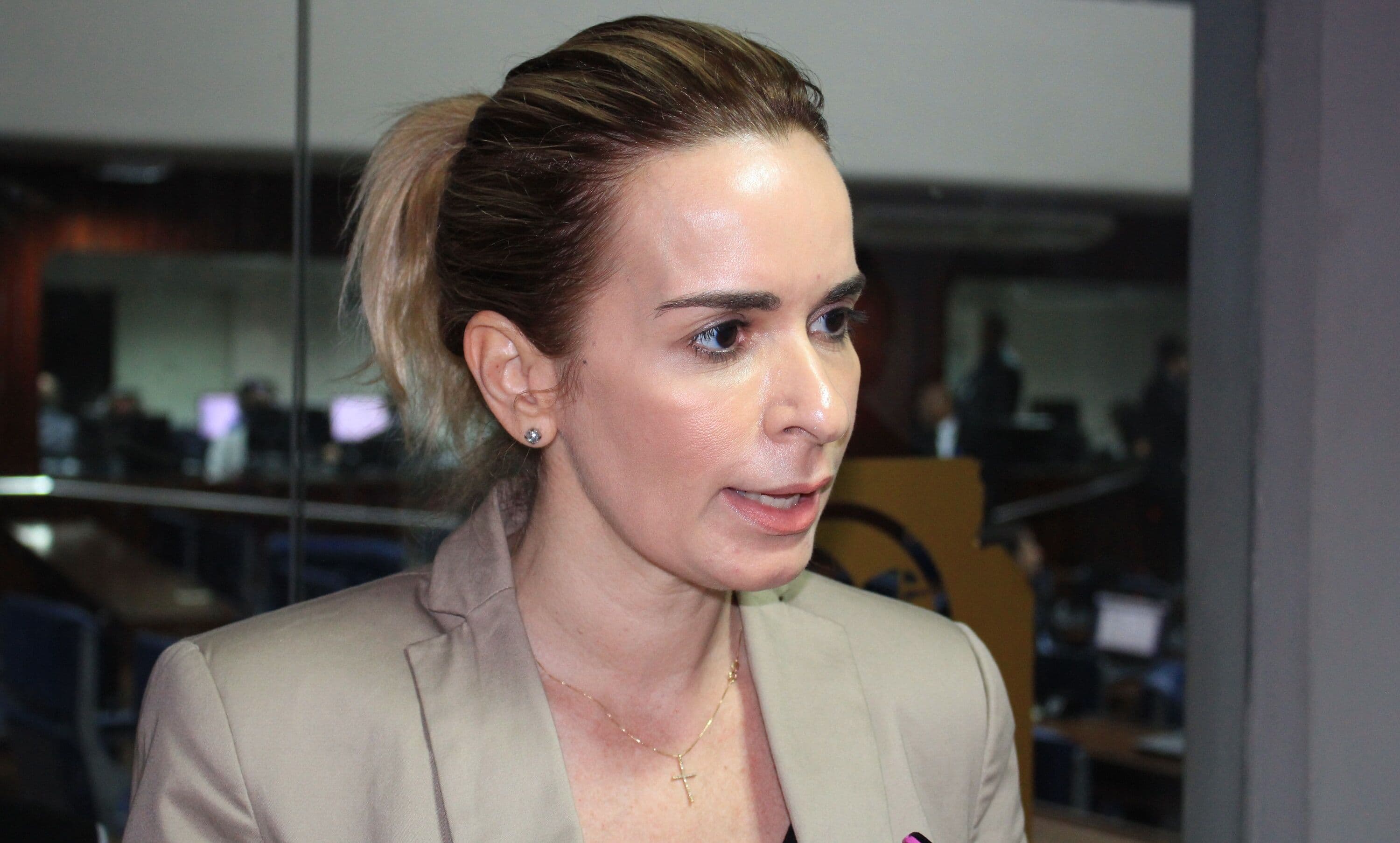 Deputados de oposição definem nesta semana o líder do bloco da minoria