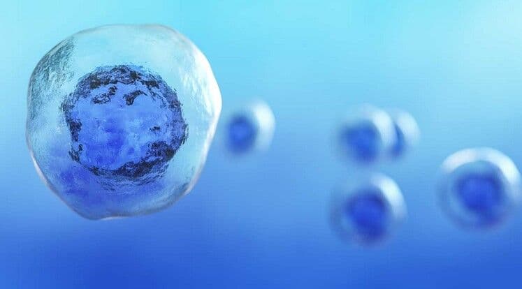 Cientistas dos EUA avançam no uso células-tronco para doenças incuráveis