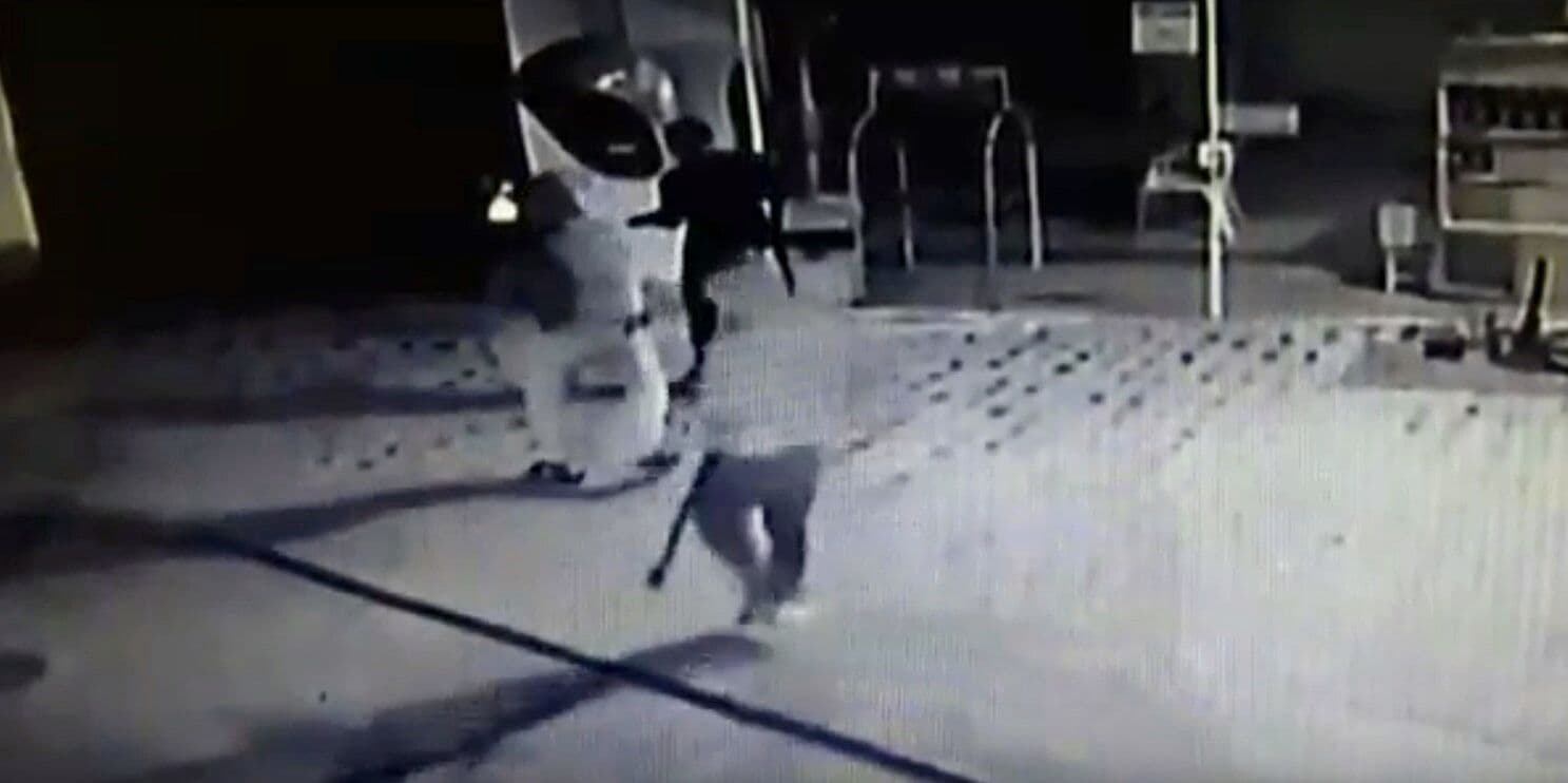 Homem atira em cachorro ao roubar posto de combustíveis em Campina Grande