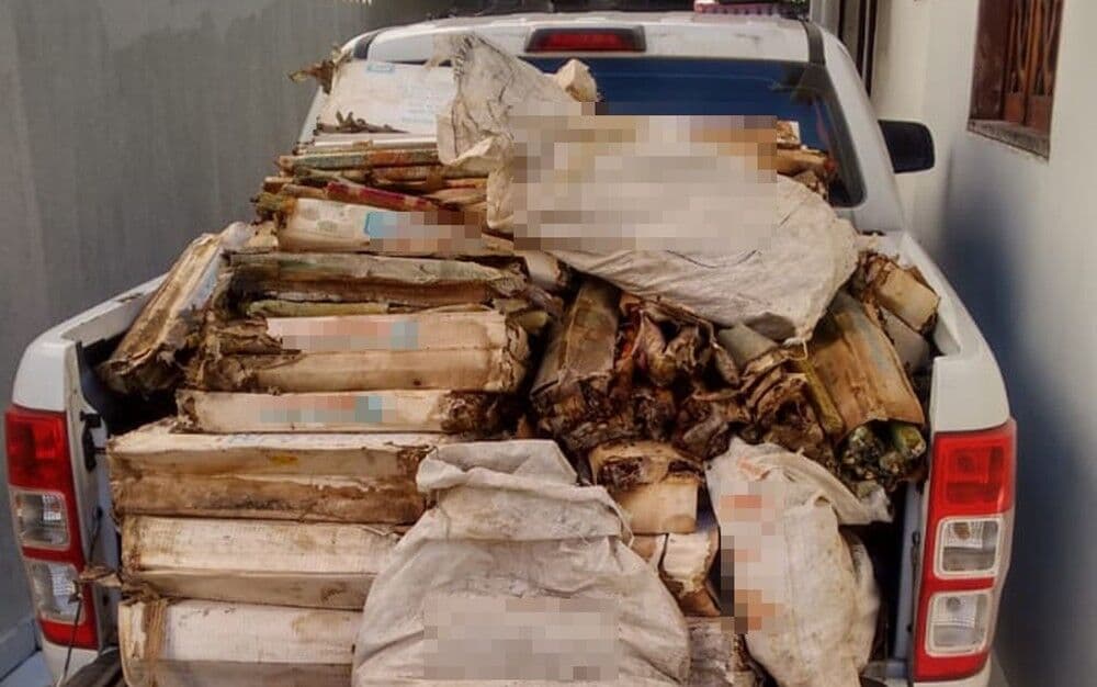 Polícia Civil apreende mais de 1.600 bananas de dinamite em Coremas