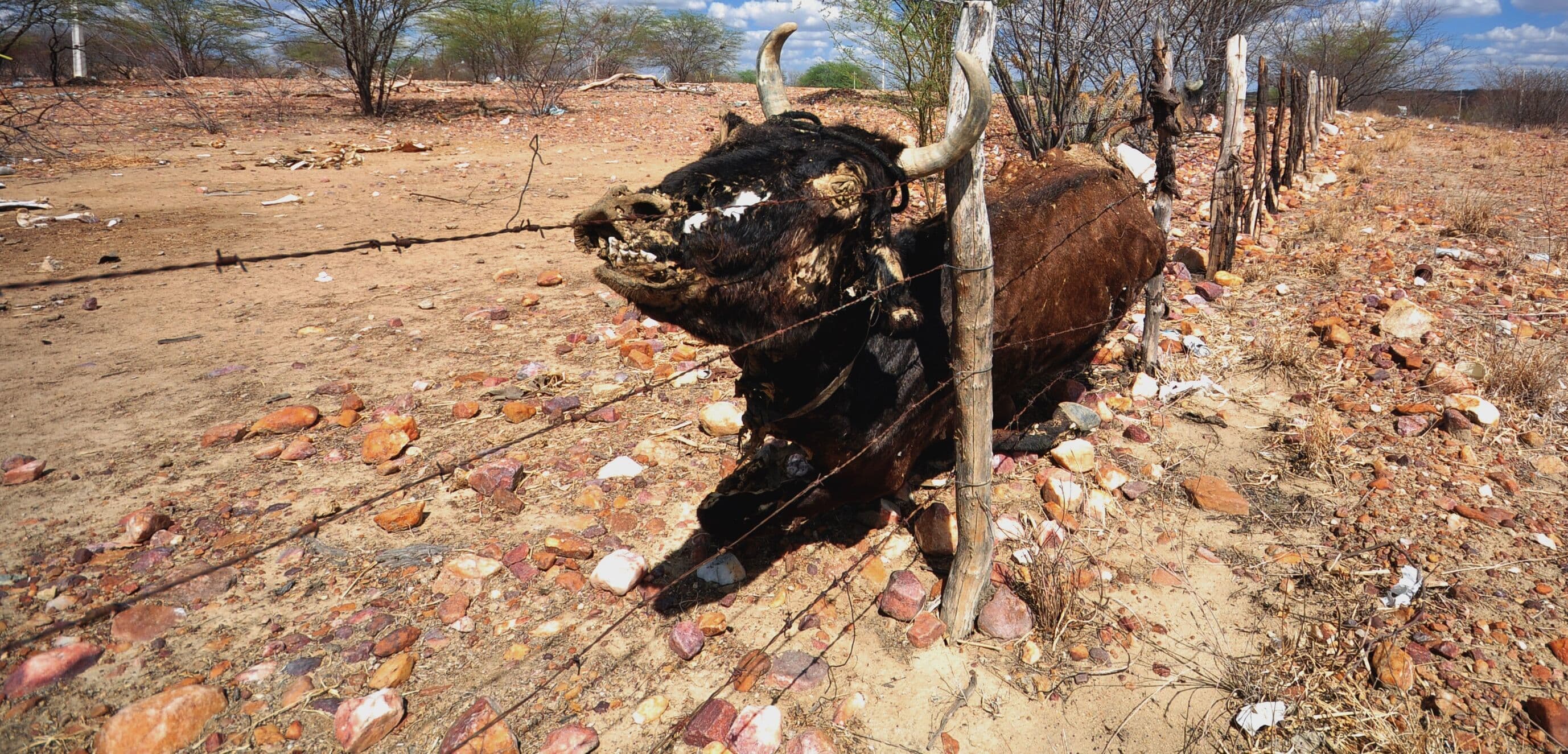 ABERRAÇÃO: Presidente da Câmara de Campina Grande ganha R$ 20 mil por mês; veja quanto recebem os vereadores nos 223 municípios da Paraíba