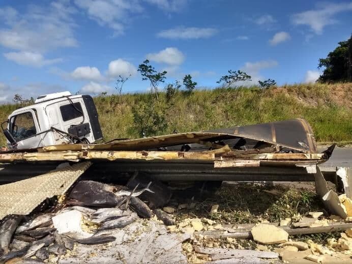 Caminhão carregado de 4,5 toneladas de peixe colide com mureta e espalha mercadoria na pista