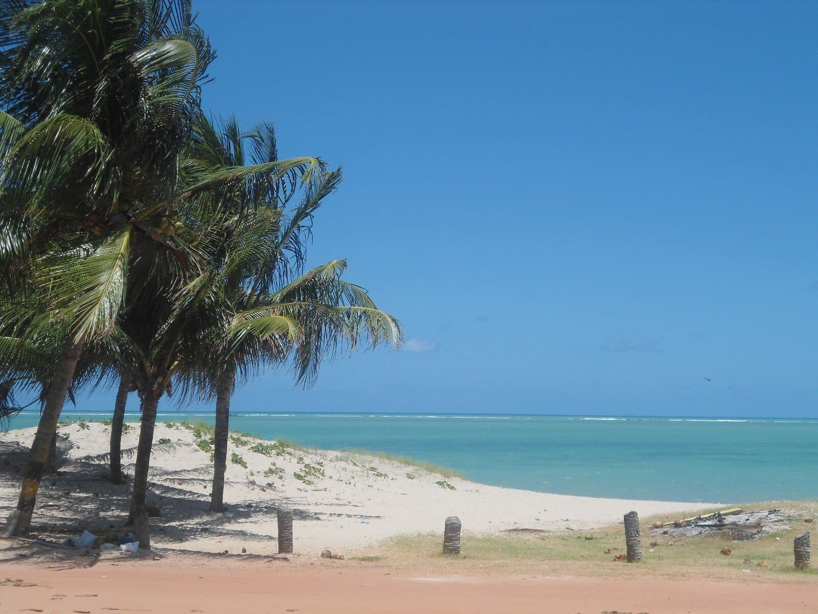 Corpo é encontrado em mata na Praia Formosa em Cabedelo