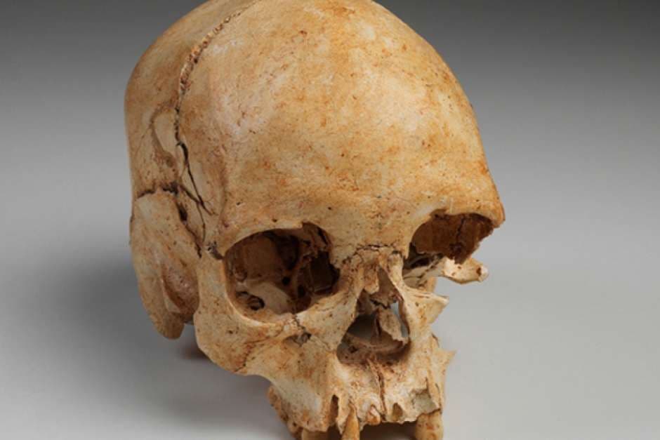 Crânio de Luzia é encontrado nos escombros do Museu Nacional