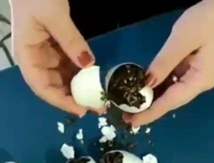 Mulher é presa ao tentar entrar na Cadeia Pública de Sapé com ovos recheados de maconha