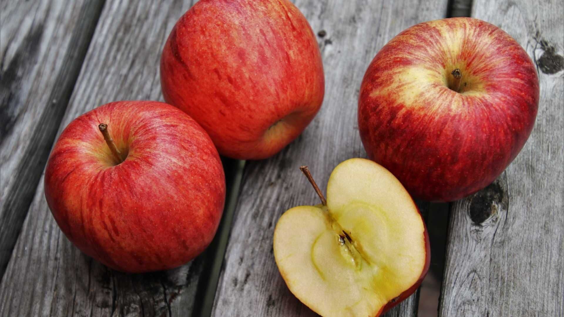 Substância encontrada em frutas pode ajudar contra picada de cobra