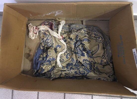 Homem tenta matar cachorro com três facadas em Santa Rita