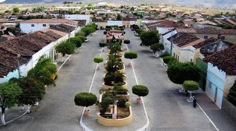 Homem espanca cachorro até a morte no Sertão