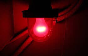 Pegou fogo: Cabaré toma posse na Câmara de Conde