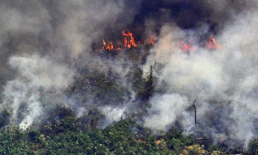 Quatro estados pedem ajuda das Forças Armadas para combate a incêndios