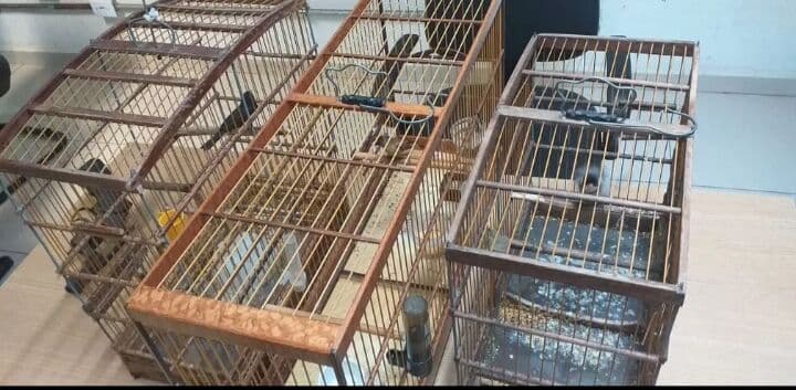 Casal é preso suspeito de tráfico de drogas em João Pessoa