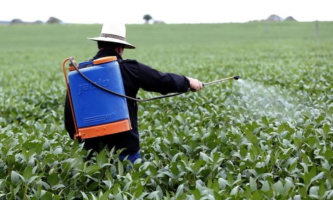 Ministra diz que liberação de agrotóxicos não traz riscos