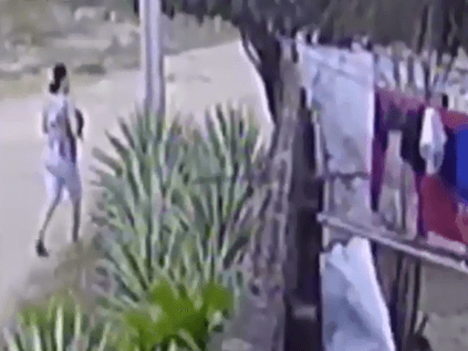 Mulher arremessa filhote de gato para morrer em quintal com cão pitbull