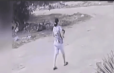 Mulher que jogou gato em quintal com pitbull presta depoimento nesta quinta-feira