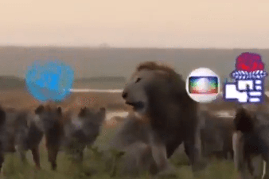 Bolsonaro admite erro em vídeo com hienas, pede desculpas e promete retratação