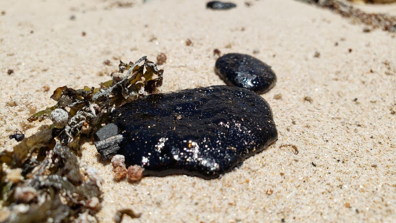 Óleo na Praia do Bessa: banhistas devem ficar atentos e usar material de proteção para contato