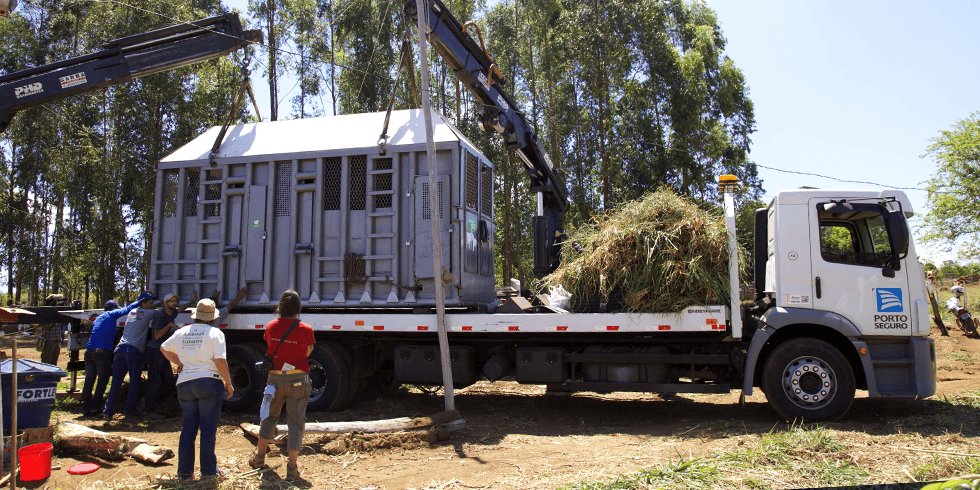 Lady será transportada de João Pessoa até Mato Grosso em carreta e viagem durará cinco dias