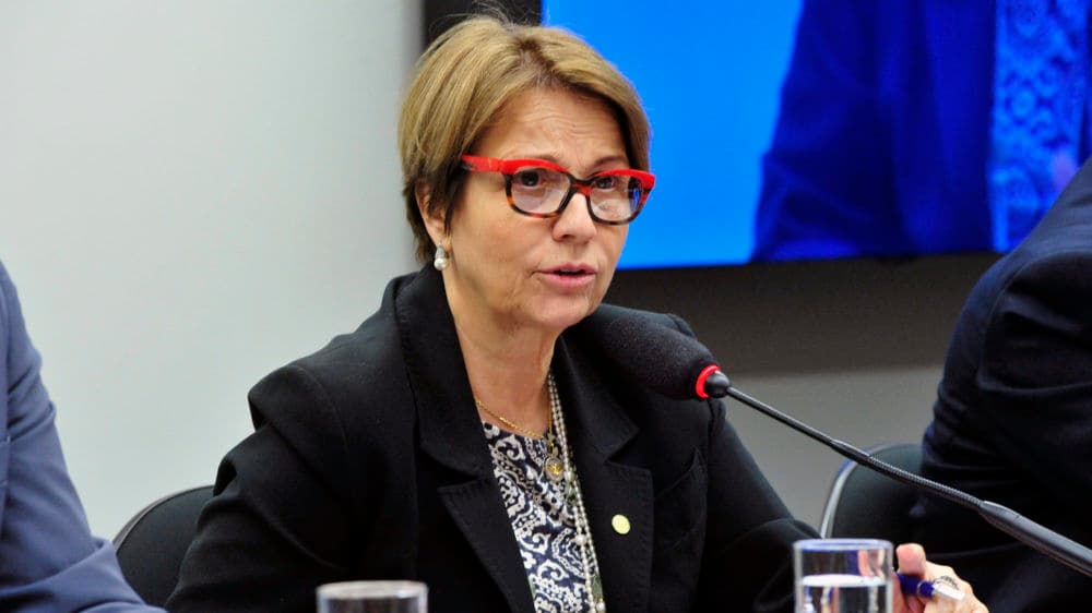 Macron atinge imagem do Brasil ao falar sobre Amazônia, diz ministra