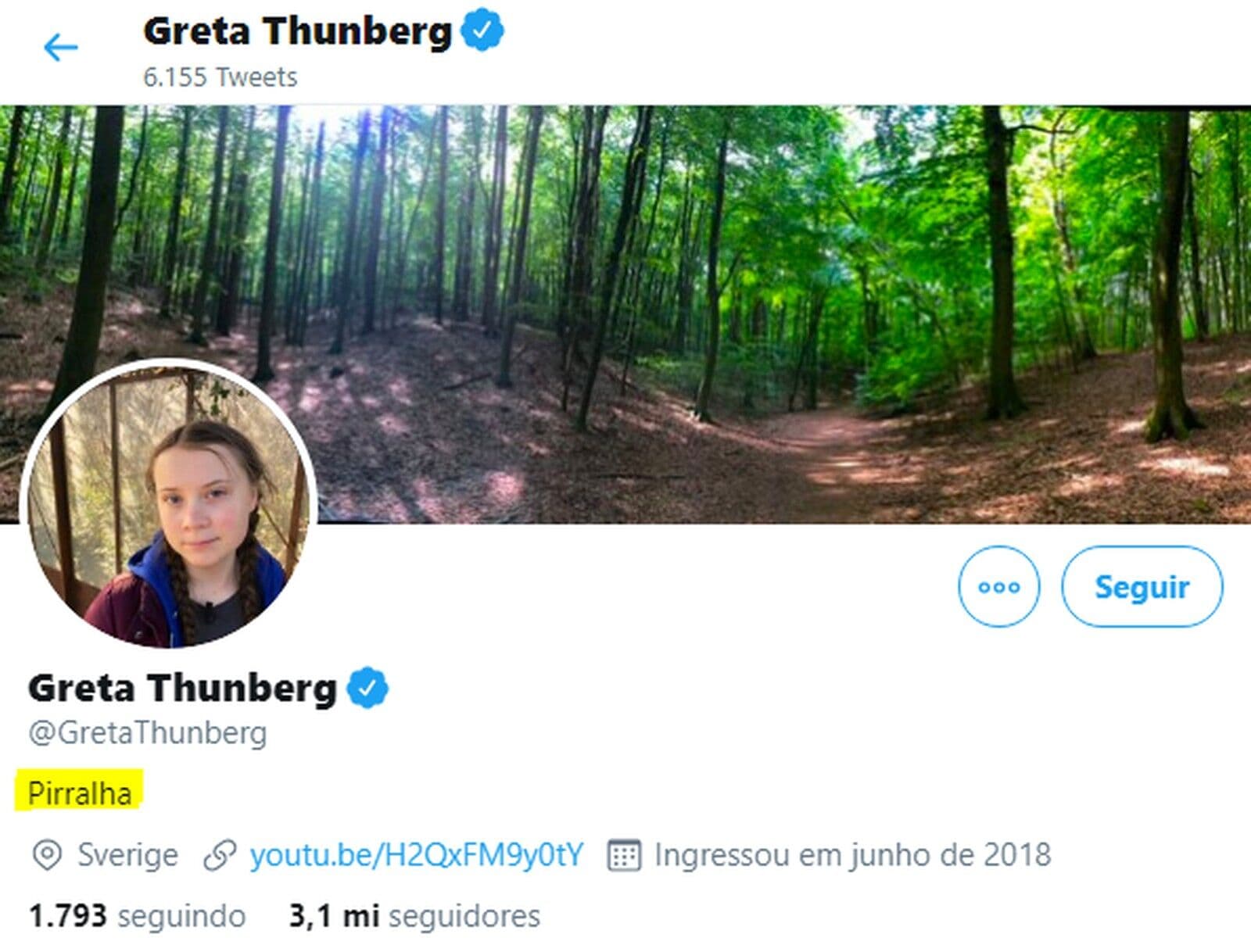 Ativista Greta Thunberg muda descrição no Twitter para 'pirralha' após declaração de Bolsonaro