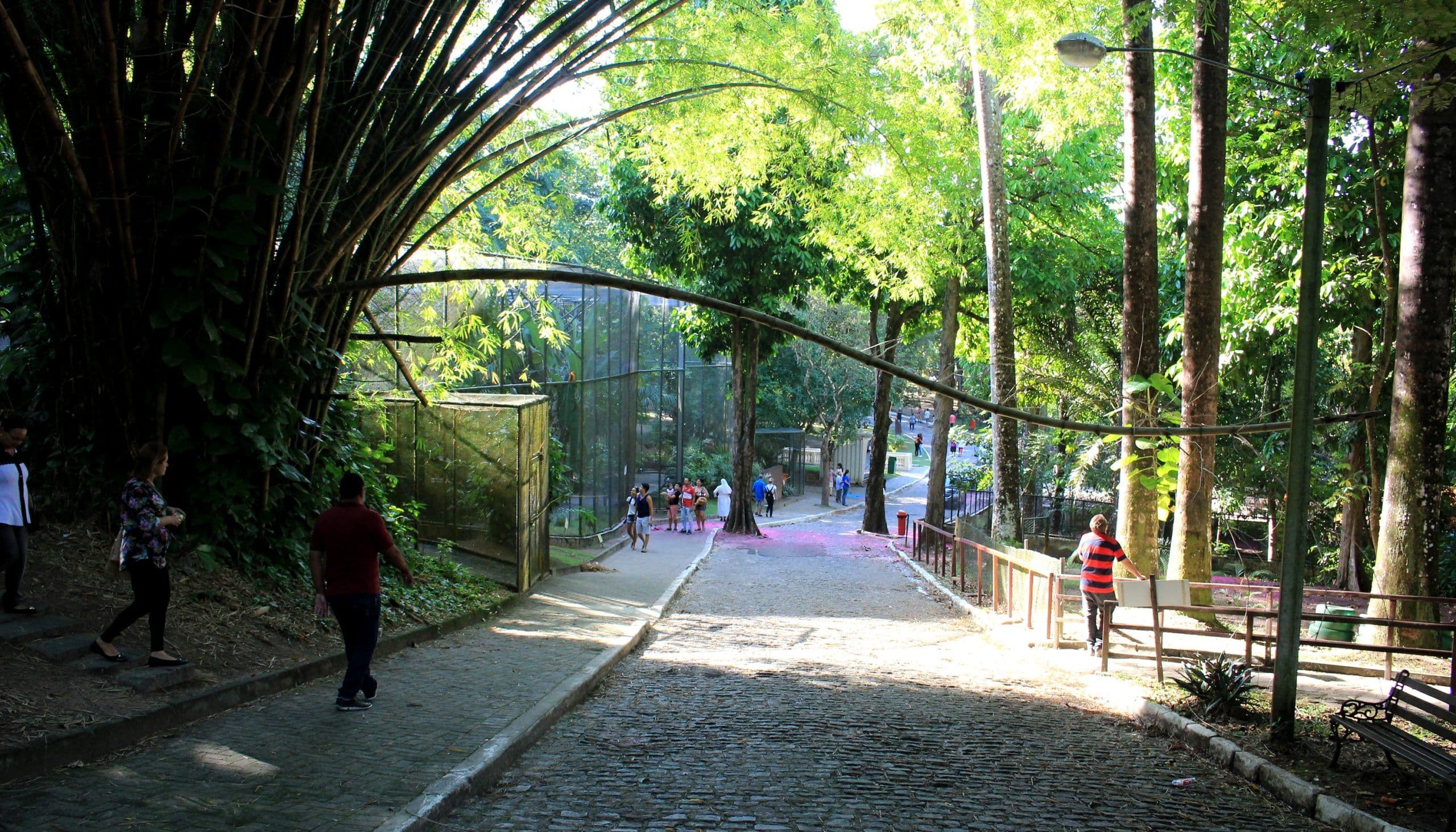 Confira as opções de lazer para o Dia das Crianças em João Pessoa