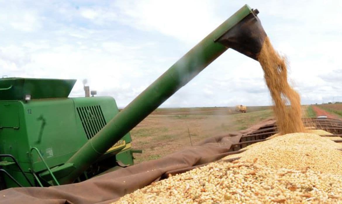 Chuva na região Nordeste permitirá a produção de 4 milhões de toneladas de grãos