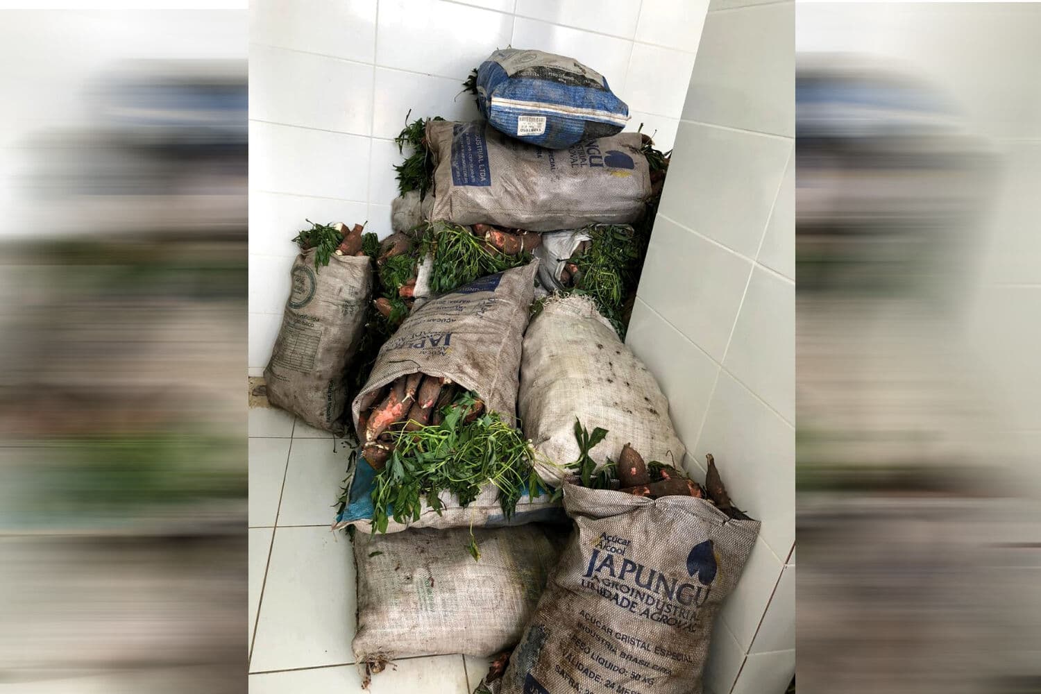 Conab doa mais de duas toneladas de alimentos para o Hospital Napoleão Laureano