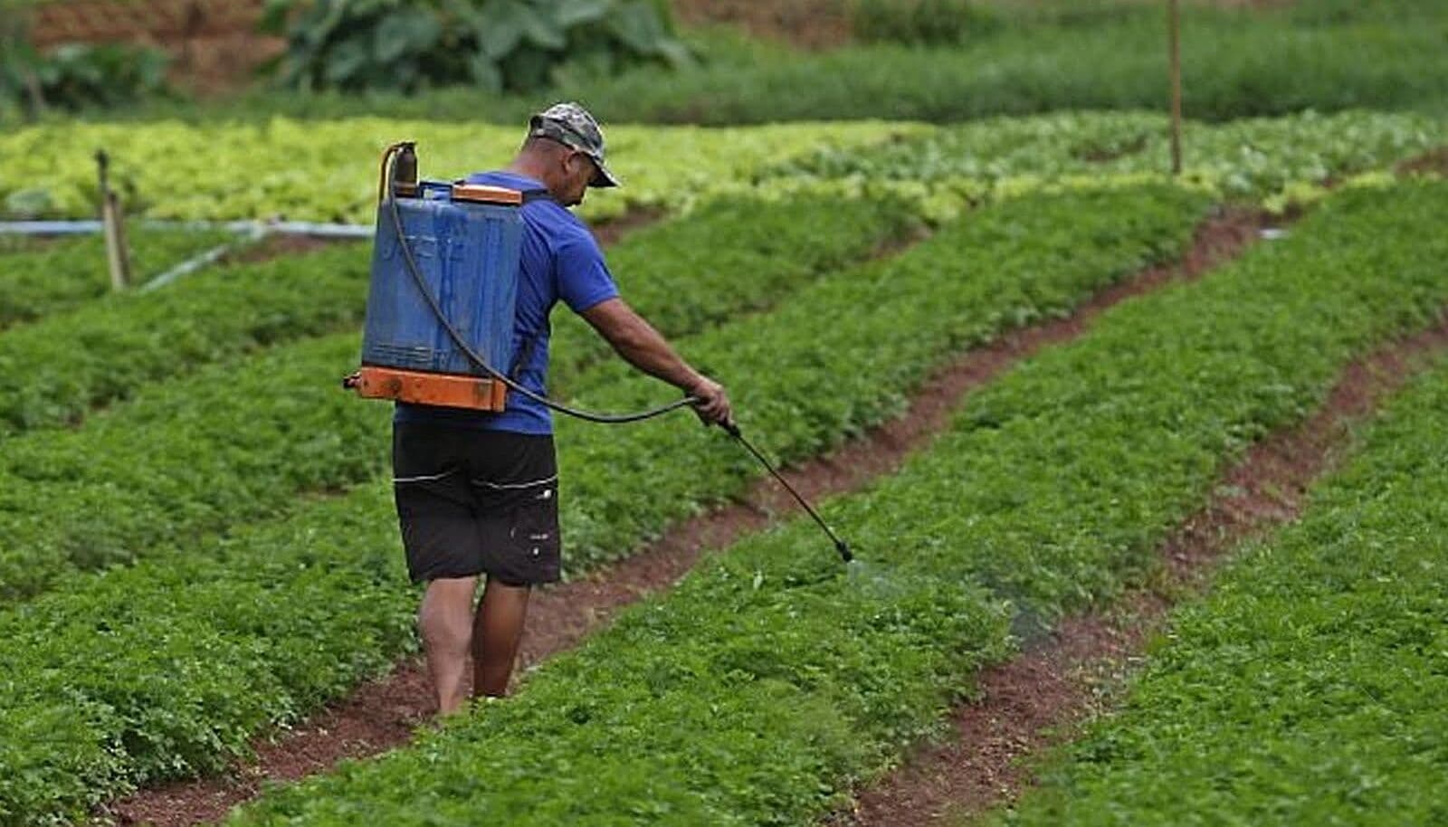 Asplan critica programa 'Zorra Total' e diz que quadro sobre agrotóxico desconsidera trabalhador rural