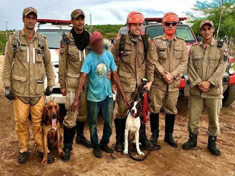 Com ajuda de cães de resgate, Corpo de Bombeiros encontra idoso que estava desaparecido em Boqueirão