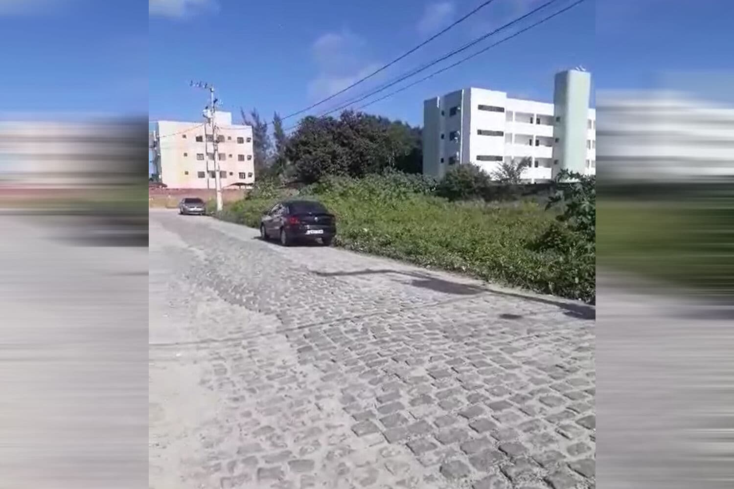 Descaso: moradores denunciam falta de limpeza de mato em terrenos baldios no bairro do José Américo, em João Pessoa