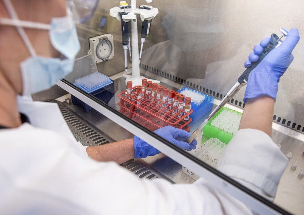 Vacina contra a Covid de Oxford gerou 'fortes respostas imunes' em idosos, anuncia universidade