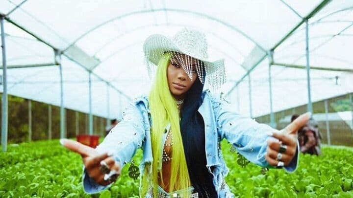 Ludmilla reproduz fala da vereadora de João Pessoa, Eliza Virgínia, em apresentação no Prêmio Multishow