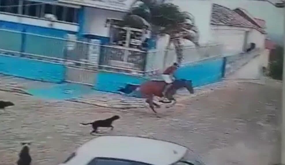 Homem morre após cavalo desgovernado se chocar contra muro na cidade de Serraria