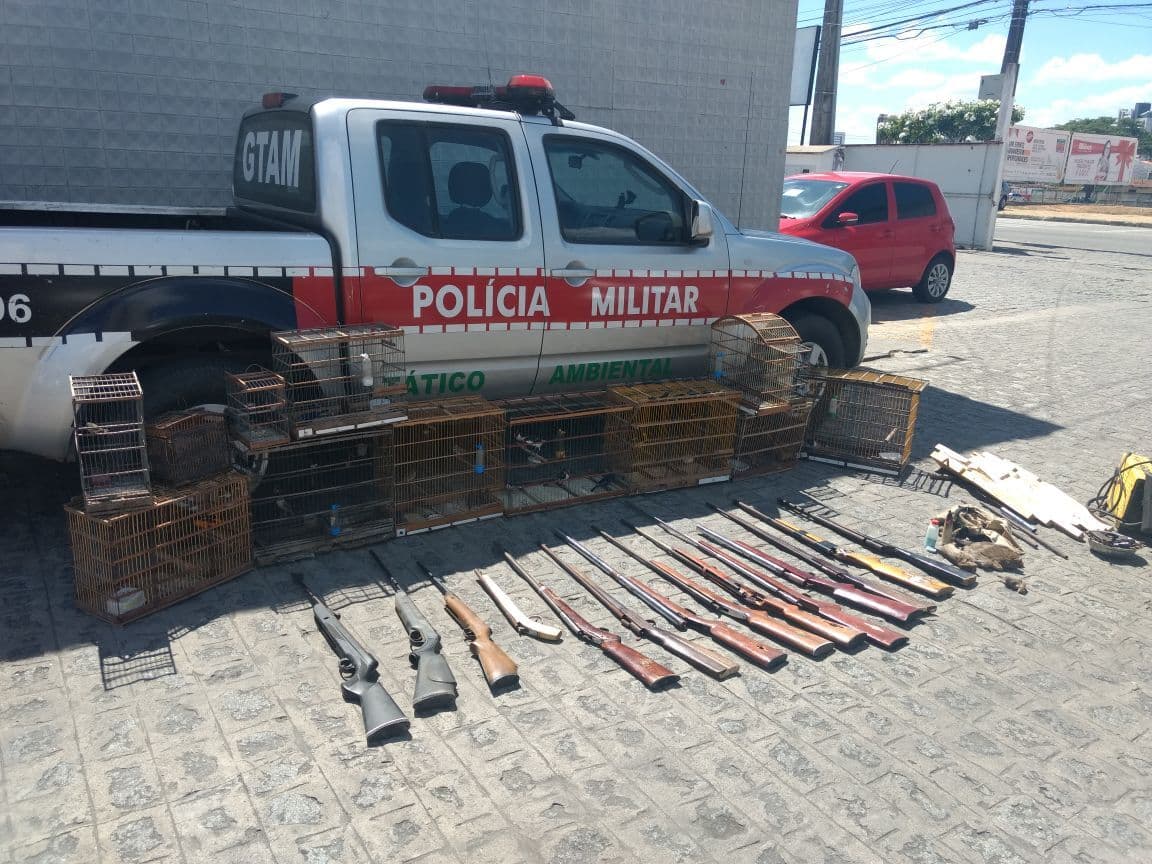 Operação da Polícia Ambiental apreende aves silvestres em João Pessoa