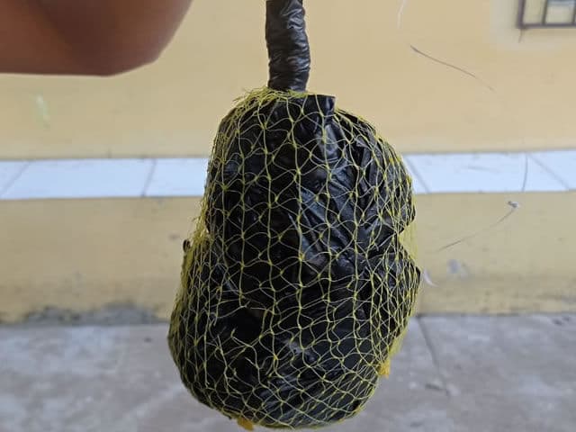 Adolescente é apreendida ao ser flagrada tentando entrar com droga escondida nas partes íntimas no Presídio Padrão de Cajazeiras