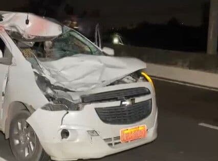 Cavalo morre após ser atropelado por carro em rodovia da Paraíba