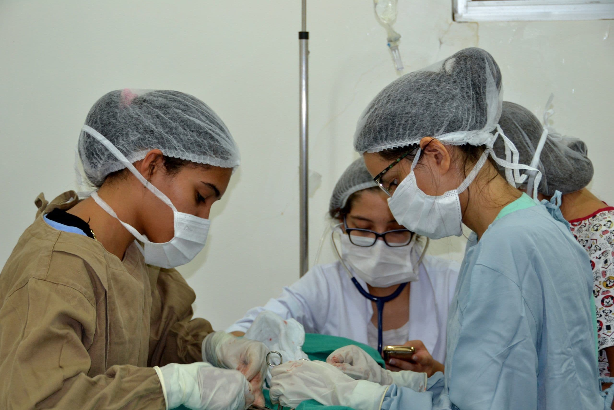 Começa hoje o cadastramento para castração de cães e gatos em João Pessoa
